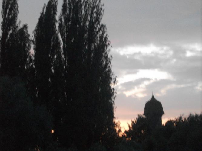 DSCF0649
