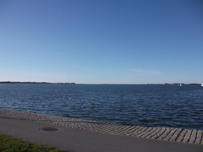 DSCF0969
